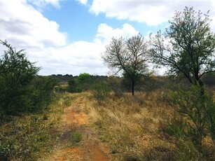 1.3 ha Land available in Hoedspruit