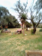 3 bedroom 2 bathroom House to rent on a plot in Lillyvale Benoni