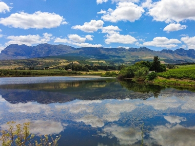 19Ha Farm For Sale in Paarl North