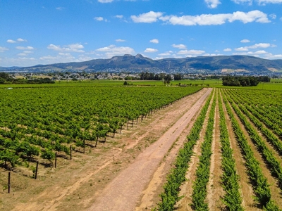 37Ha Farm For Sale in Paarl North
