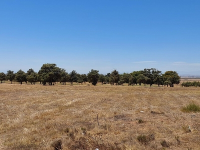 923m² Vacant Land For Sale in Darling