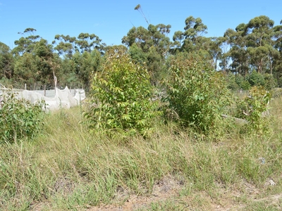 600m² Vacant Land For Sale in Wedgewood Golf Estate