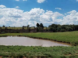 15.7 ha Farm in Randfontein