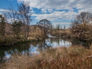 21.8 ha Farm in Louwlardia