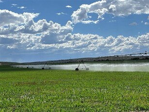 299 ha Farm in Douglas