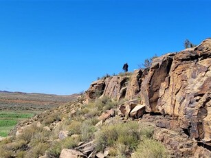 814 ha Farm in Loxton