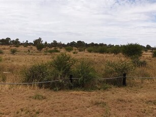 2 ha Land available in Kimdustria