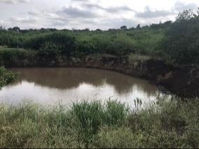 Farm For Sale In Heatonville, Empangeni