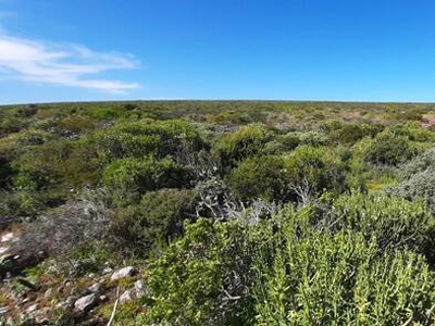 Jacobs Bay Western Cape N/A