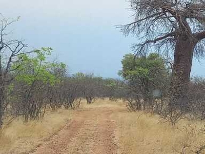 Lot For Sale In Musina, Limpopo
