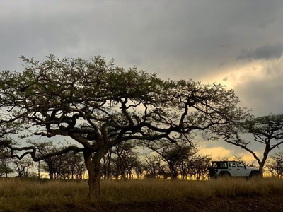 Pietermaritzburg KwaZulu Natal N/A