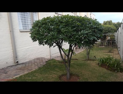 2 bed property to rent in glenvista
