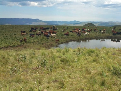 3269 ha Farm in Mthata