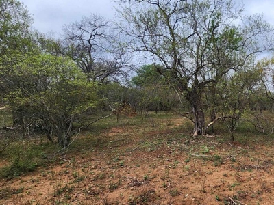 1,539m² Vacant Land Sold in Marloth Park