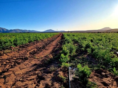 Farm For Sale In Uniondale, Western Cape